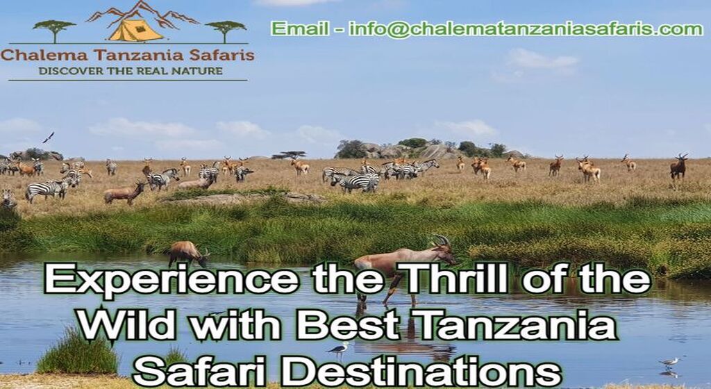 safari tanzania tour